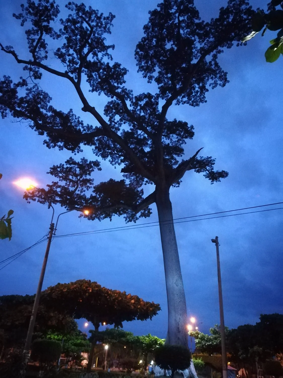 Parque de La Lupuna