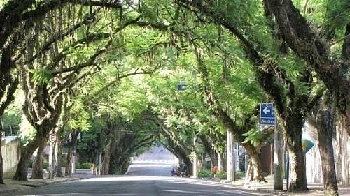 Rua Goncalo de Carvalho