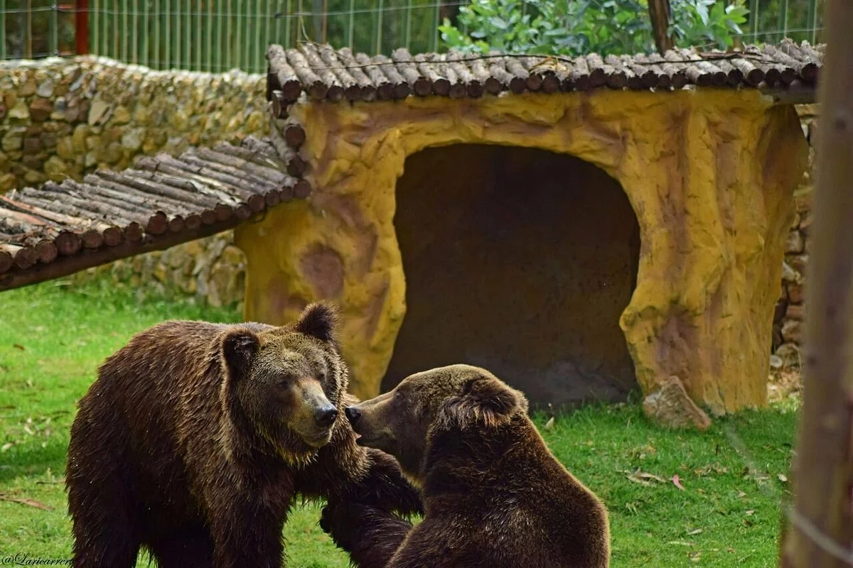 Biopark Guatika