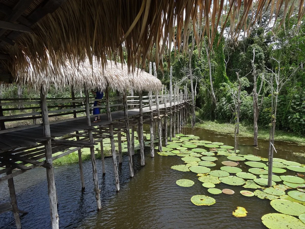 Parque Ecologico Janauari