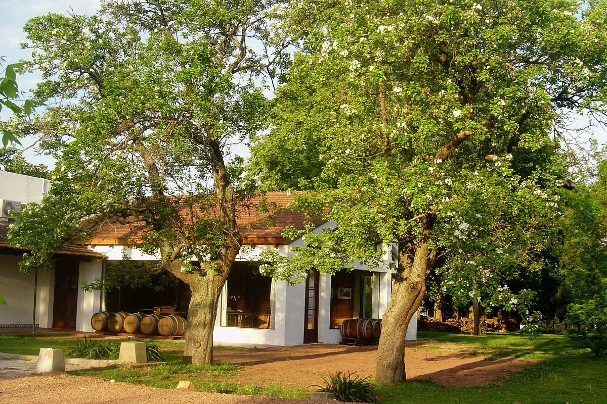Bodegas Carrau