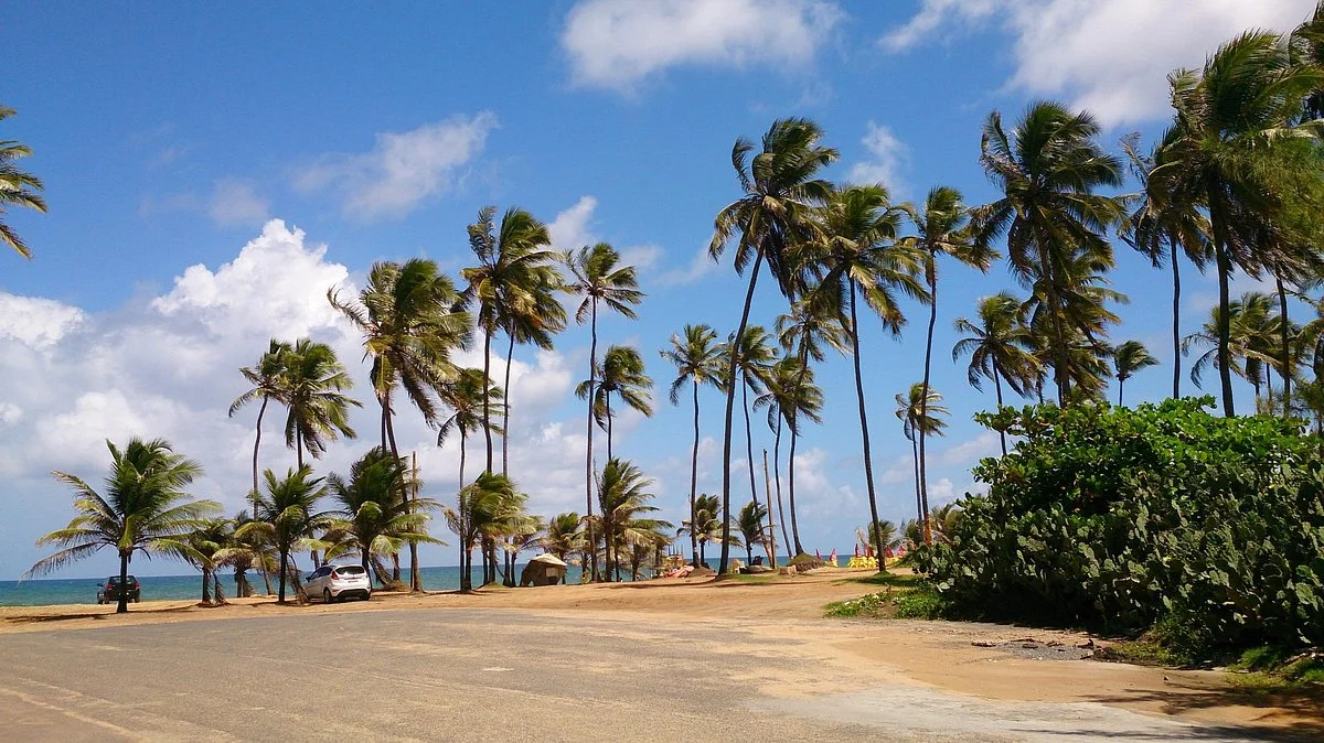 Praia Busca Vida