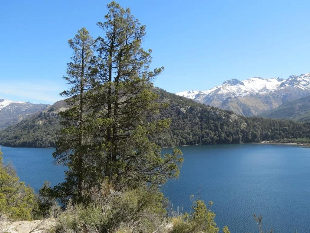 Lago Lolog