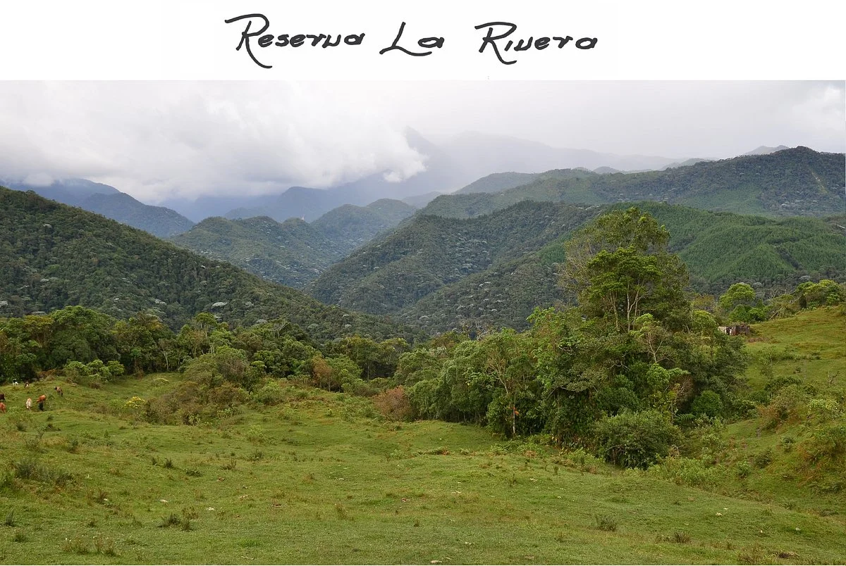 Reserva La Rivera