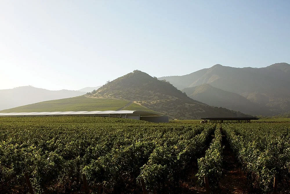 Vina VIK Winery