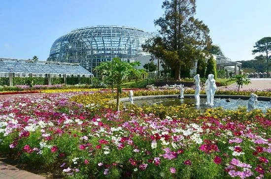 Toyohashi General Botanical Garden, Non Hoi Park
