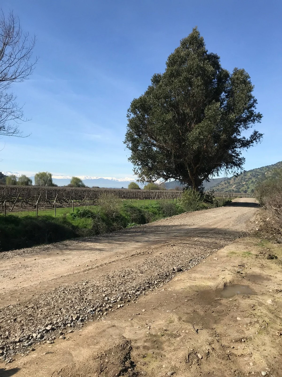 El Tranque de Rauco