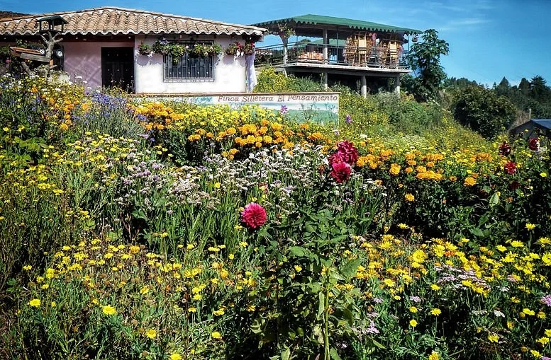 Festival of The Flowers