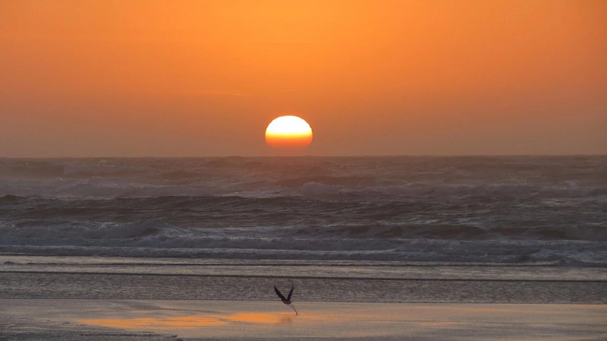 Solidao Beach