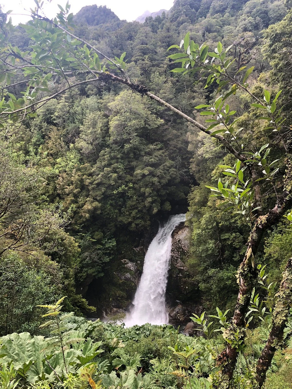 Sendero Padre Garcia