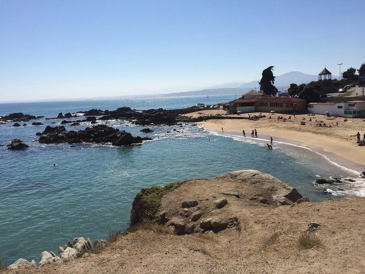 Caleta Higuerillas