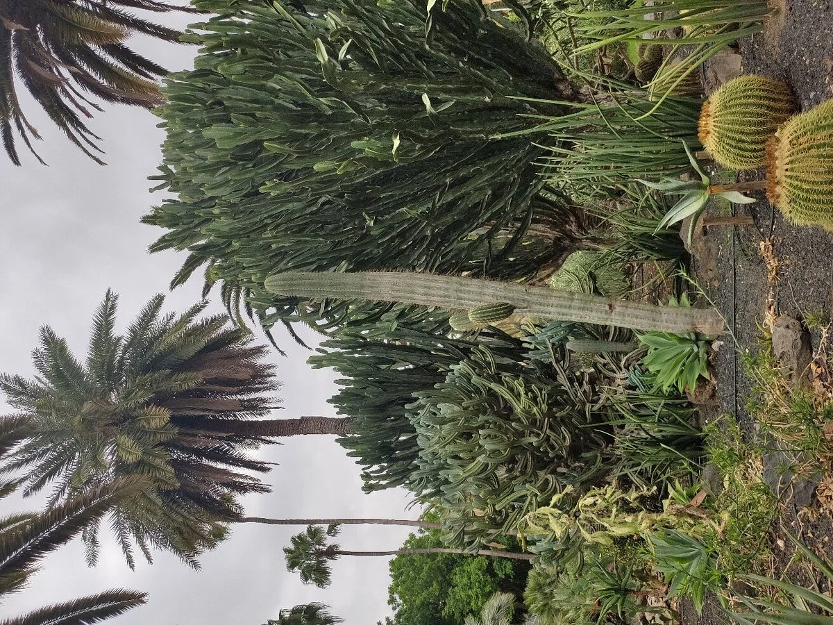 Parque Urbano Central