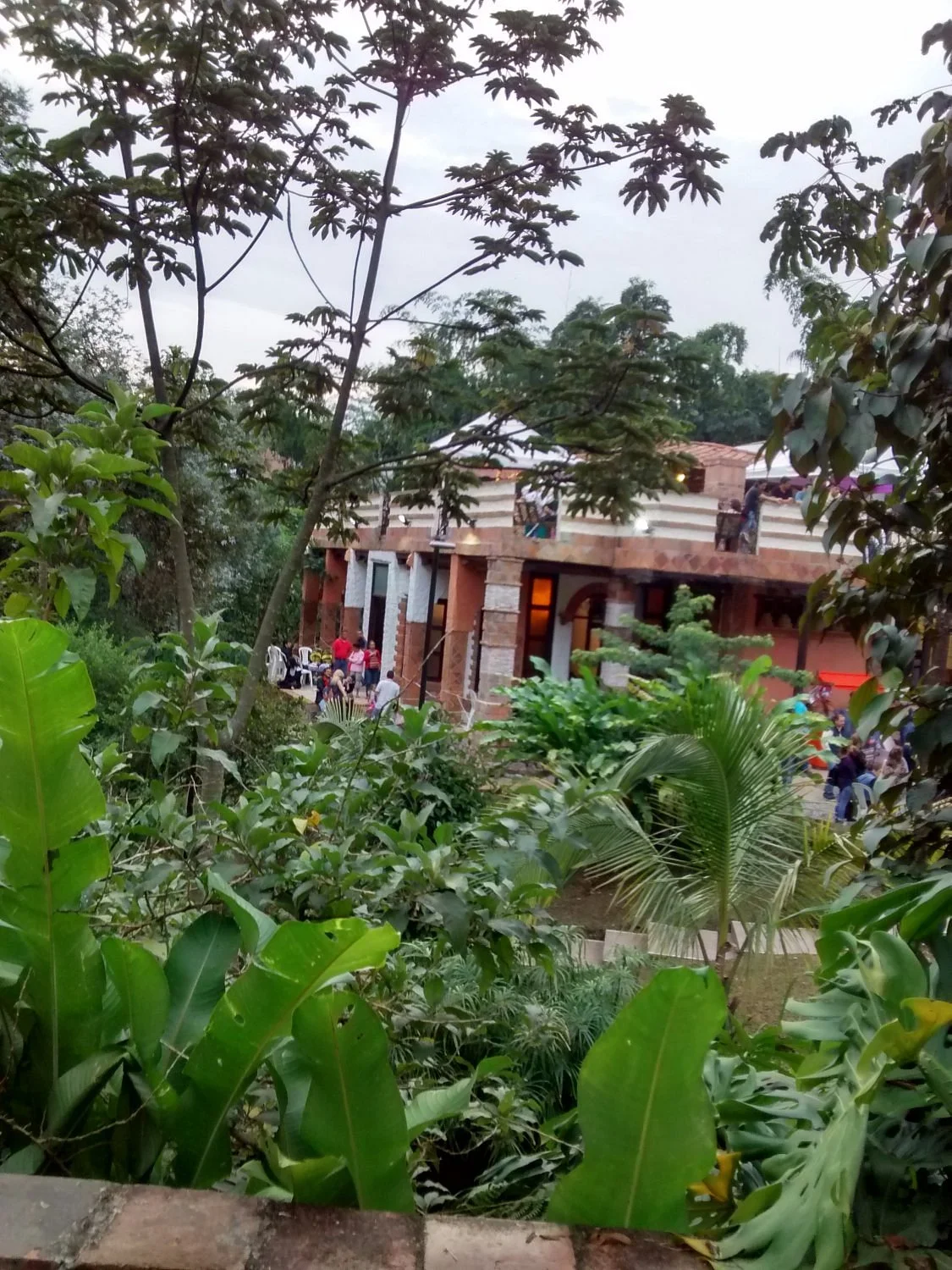 Parque La Guayacana