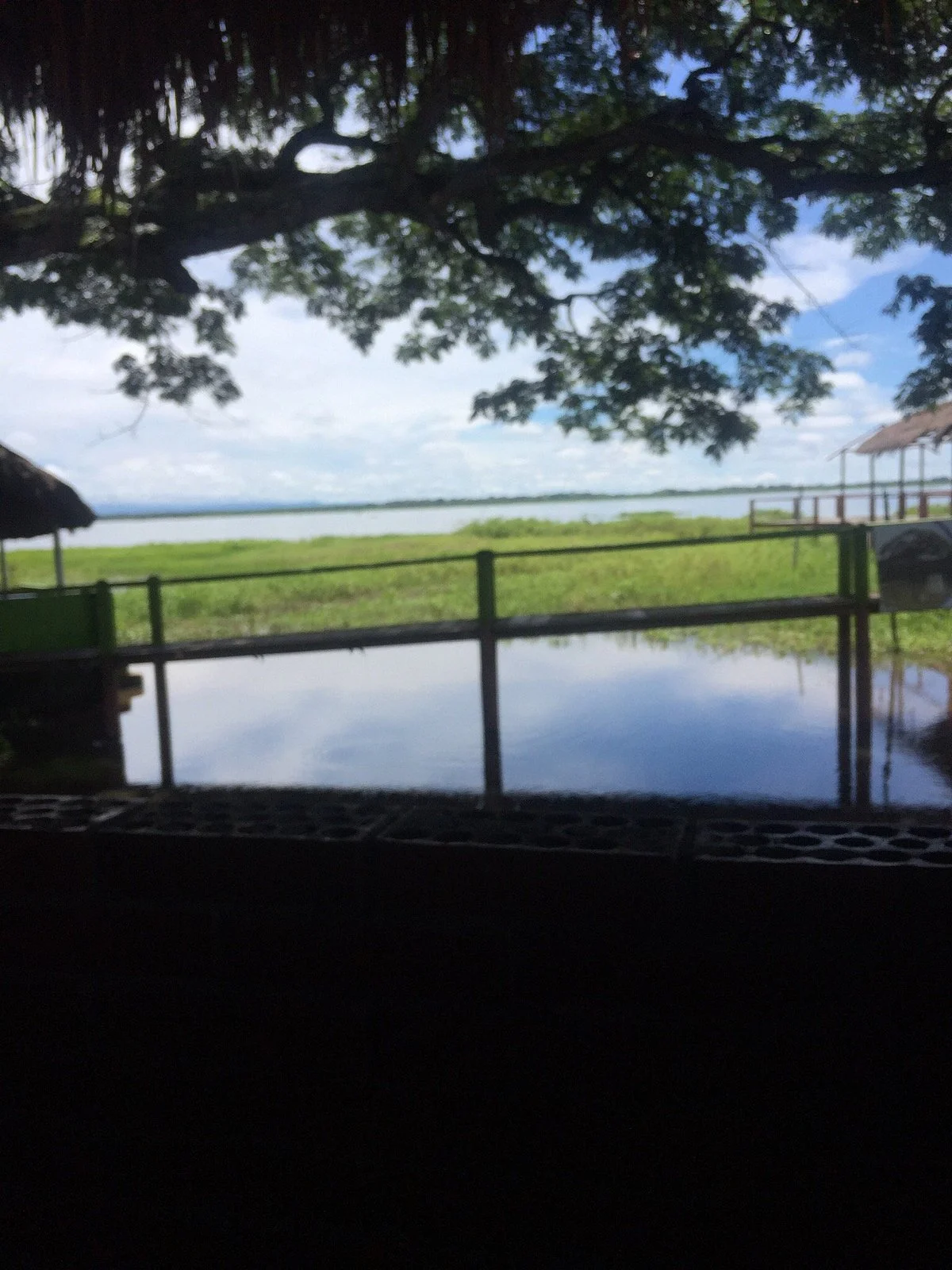 El Llanito