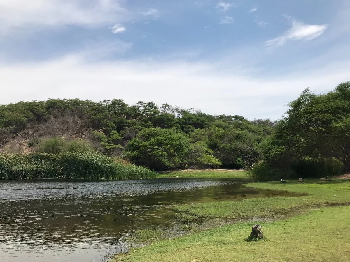 Bosque El Canoncillo