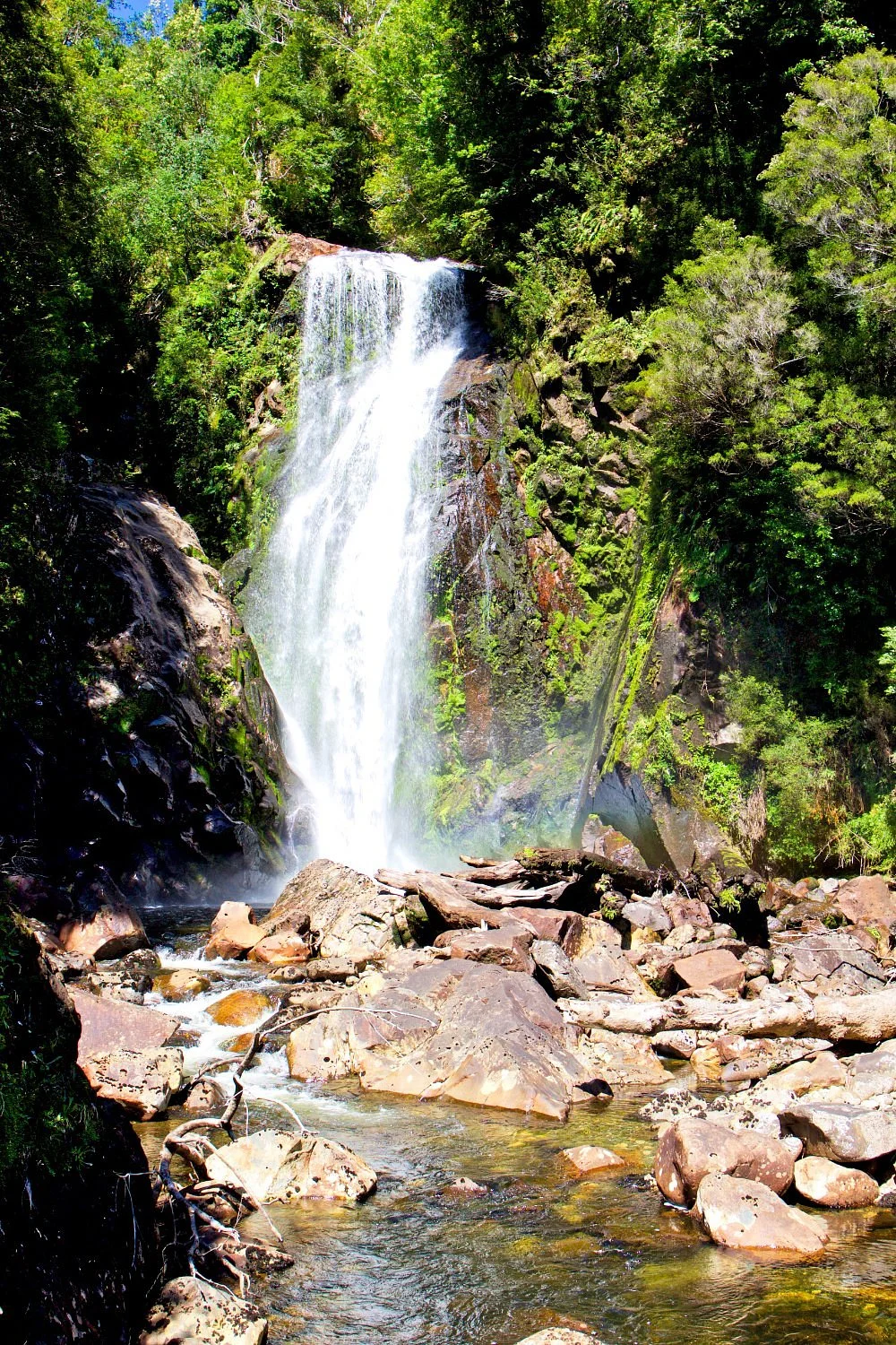 Parque Aiken del Sur