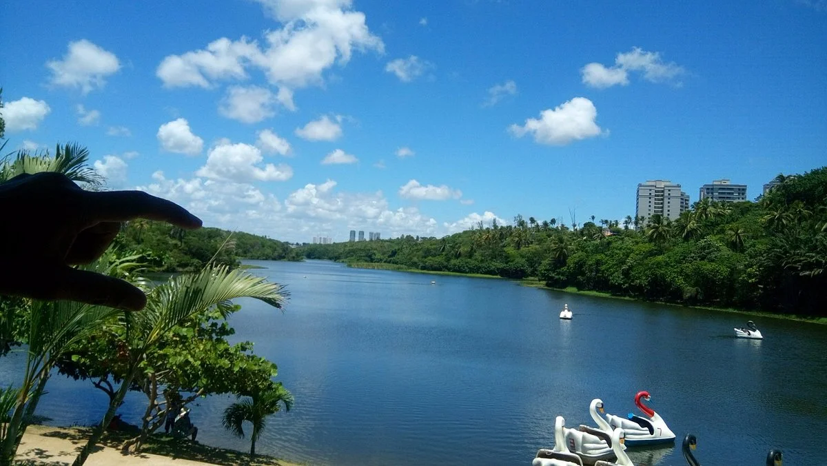 Parque Metropolitano de Pituaçu