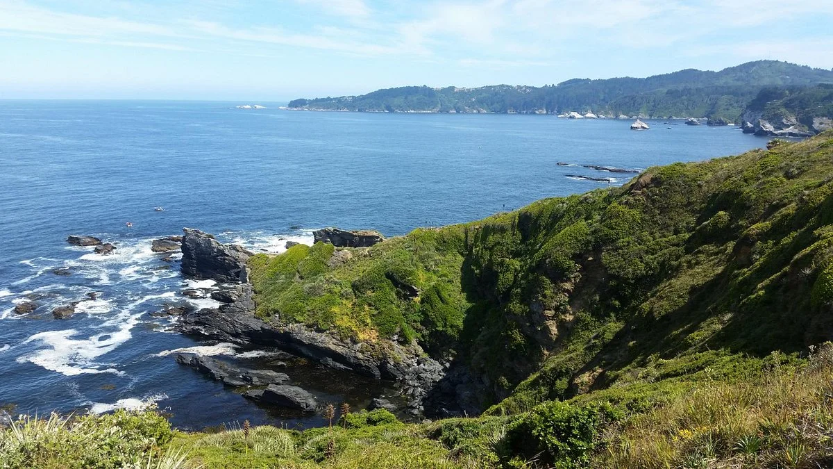 Caleta Chome