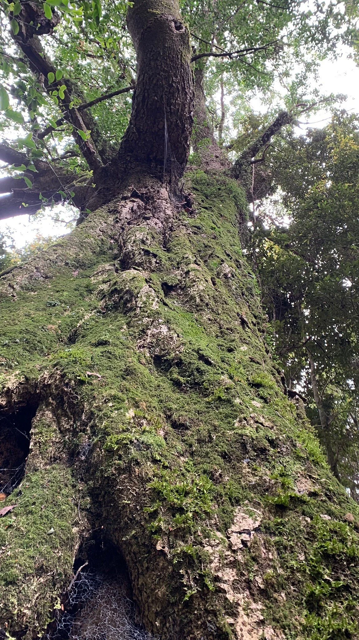 Reserva Forestal Edmundo Winkler