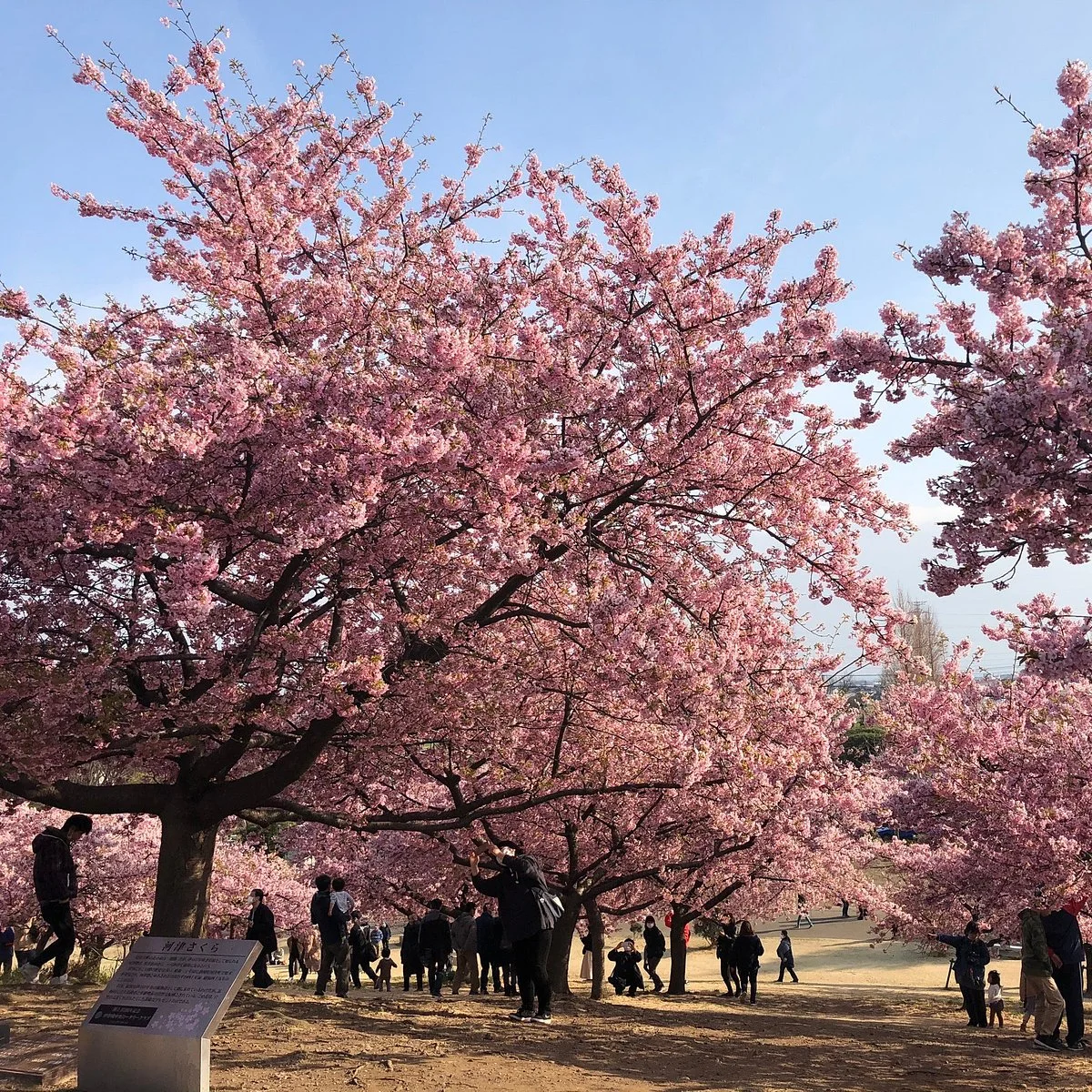 Isesaki Shimin no Mori Park