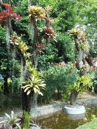 Botanical Garden of Guayaquil