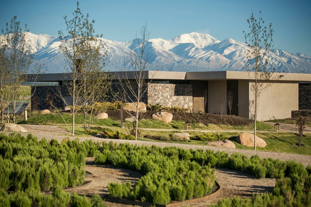 The Vines of Mendoza