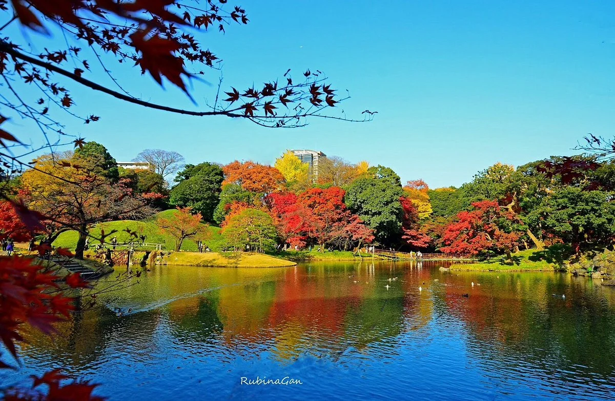 Koishikawa Korakuen Garden