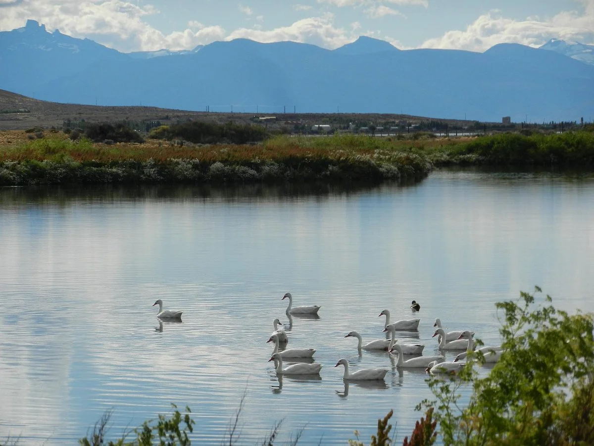 Laguna Nimez Reserva Natural Municipal