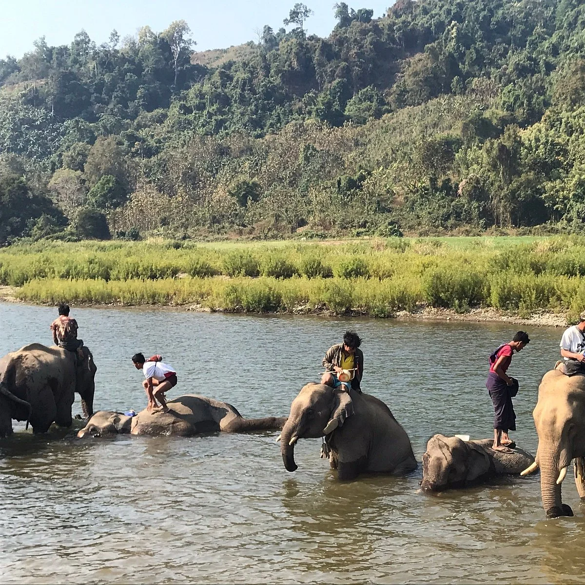 Talalnal Elephant Camp