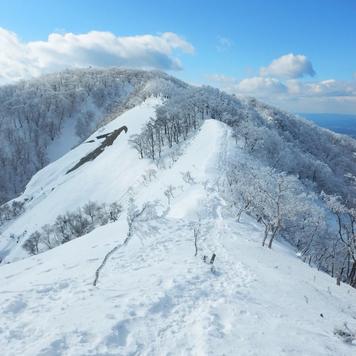 Mt. Watamuki