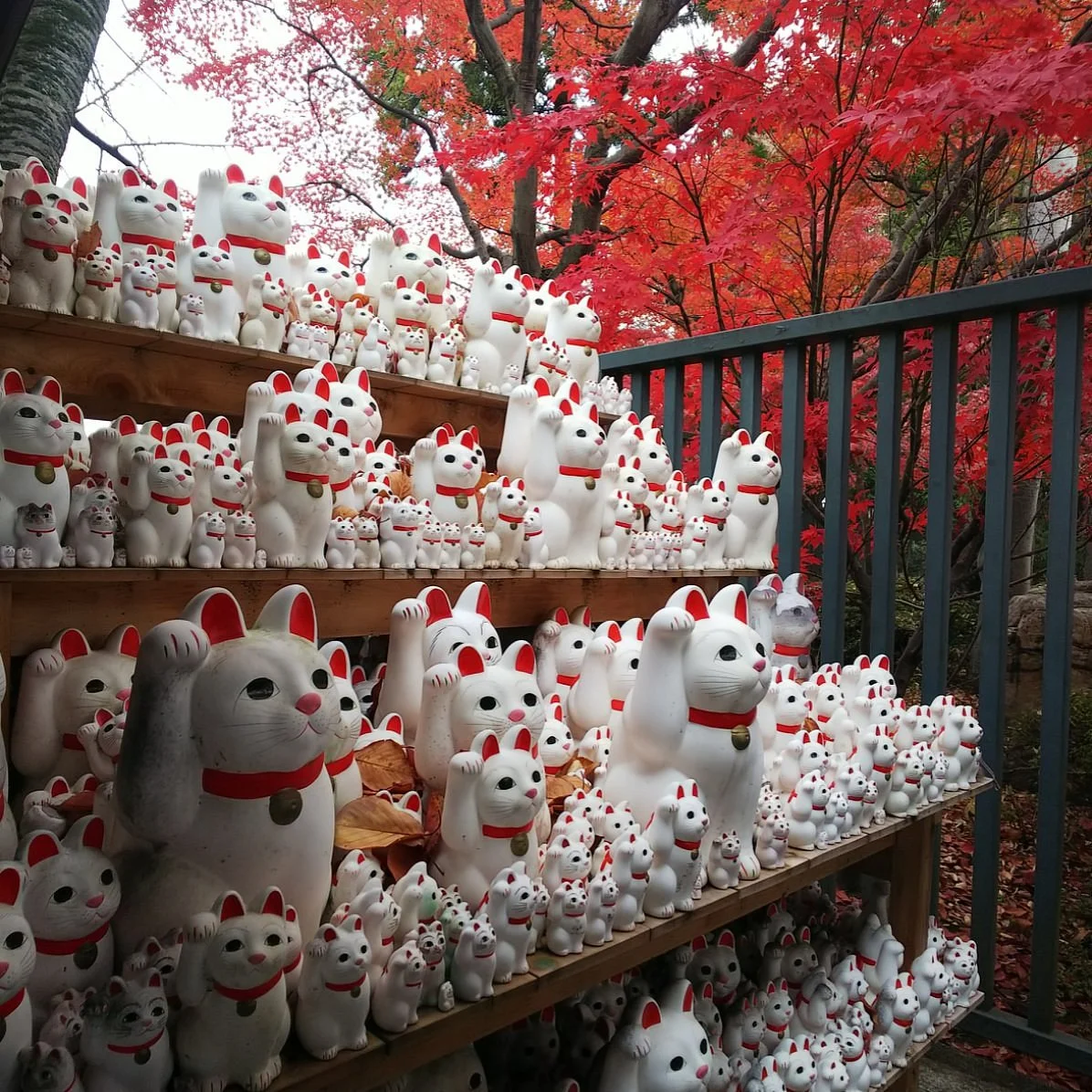Gotokuji Temple