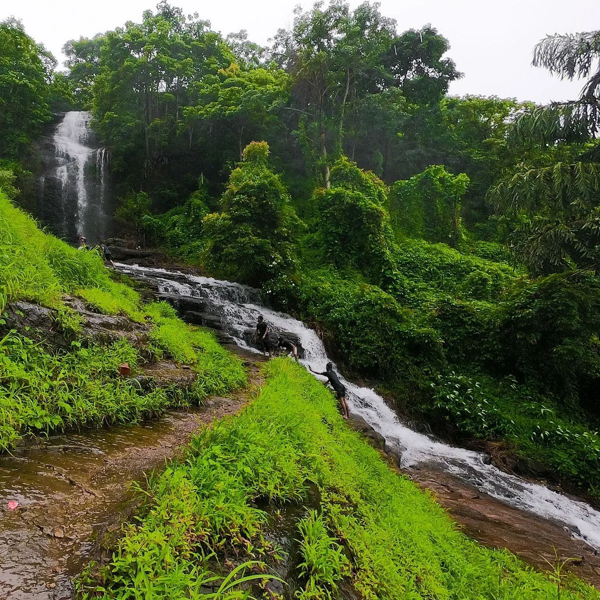 Paloor Kotta Waterfall