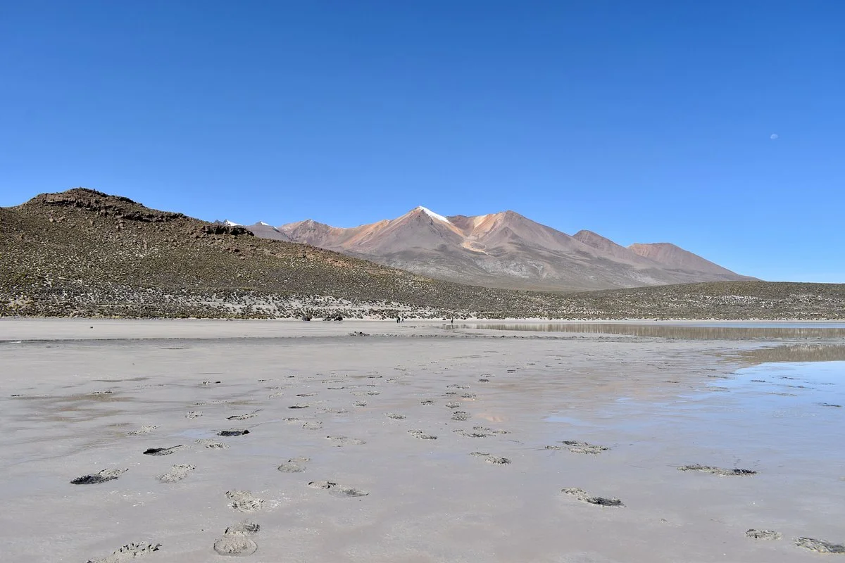 Laguna de Salinas