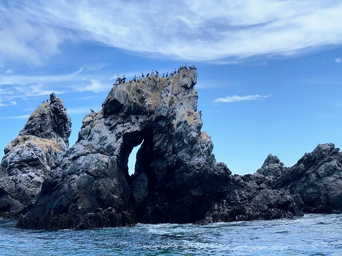Reserva Nacional Pinguino de Humboldt