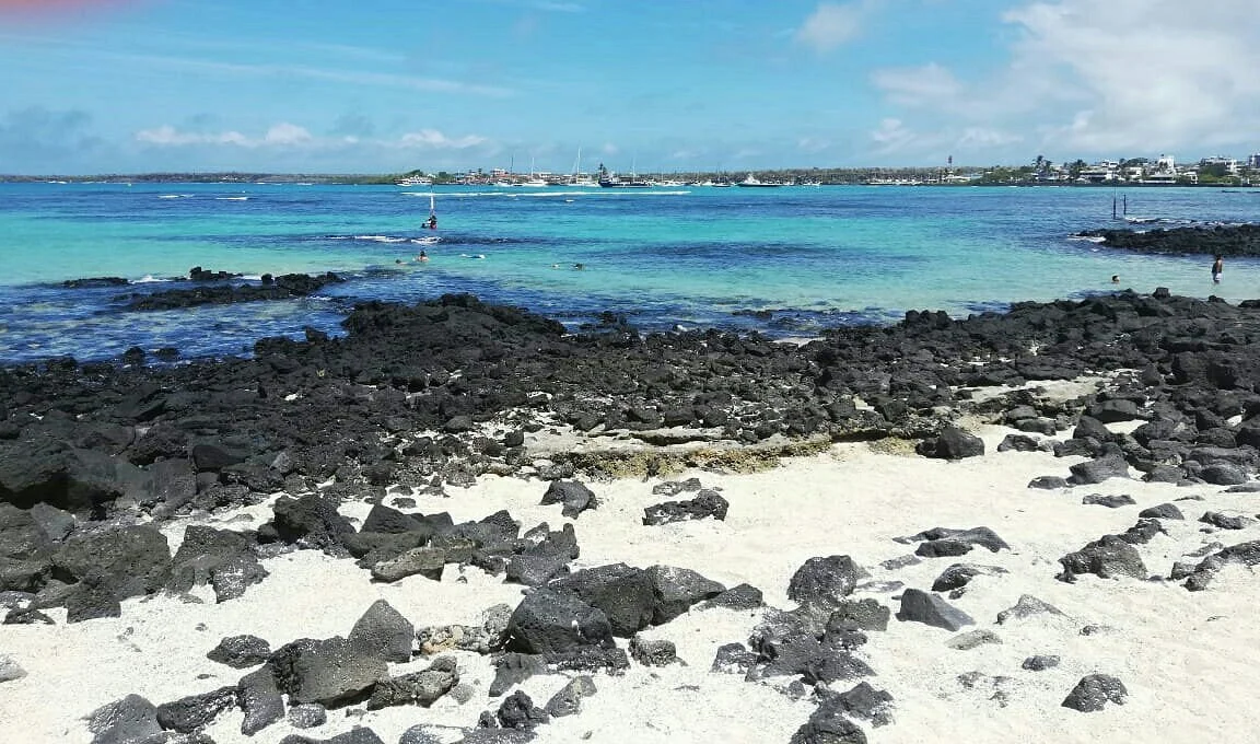 Playa de La Estacion