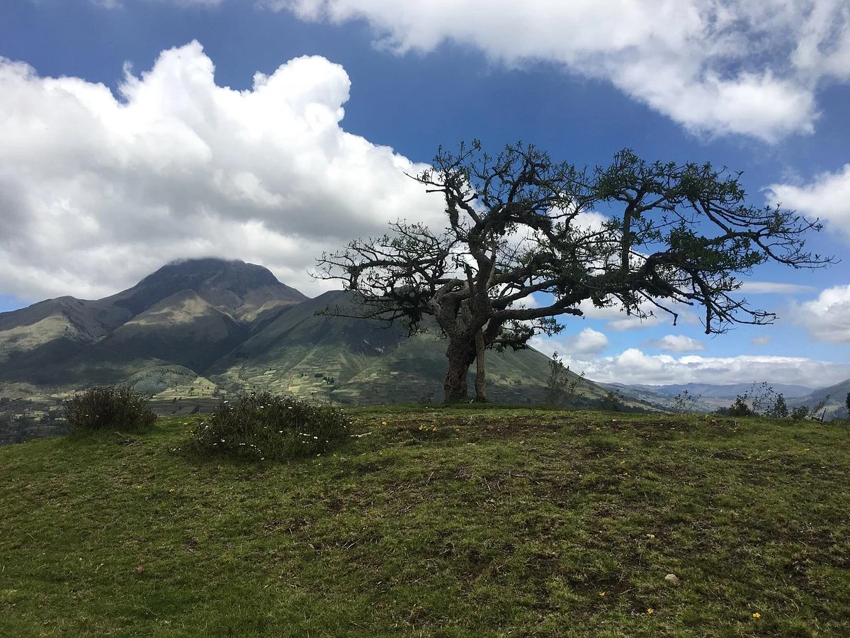 El Lechero