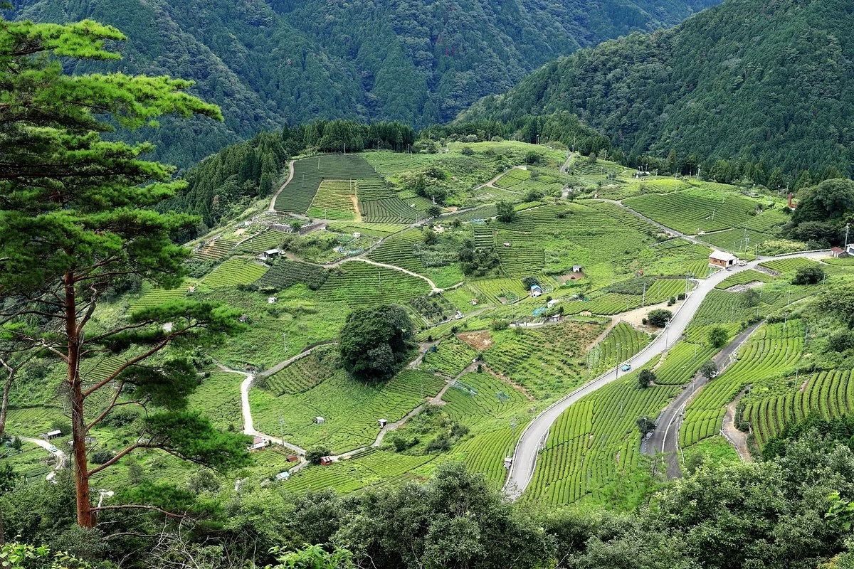 Tenku no Yuhodo