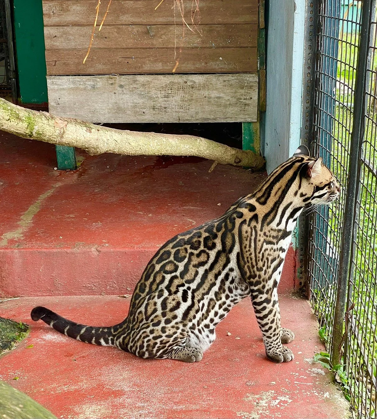 Guyana Zoological Park
