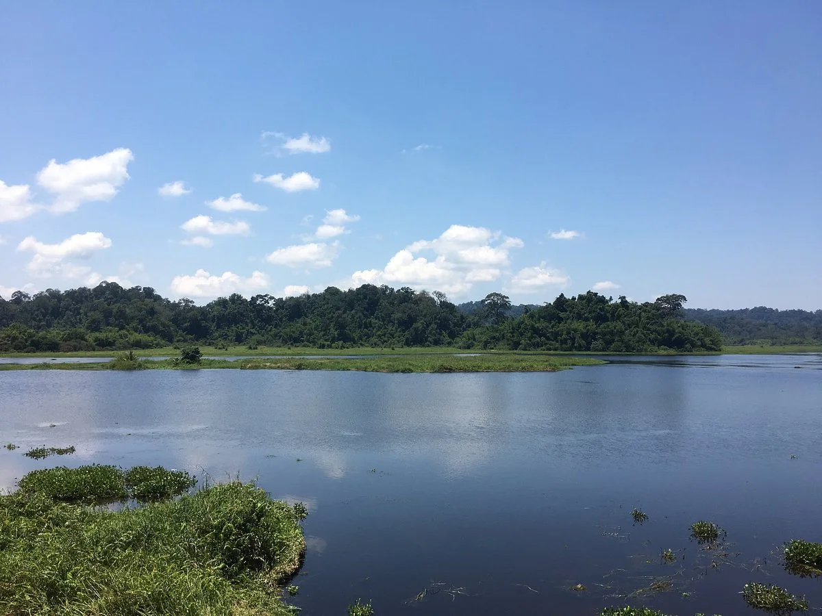 Crocodile Lake