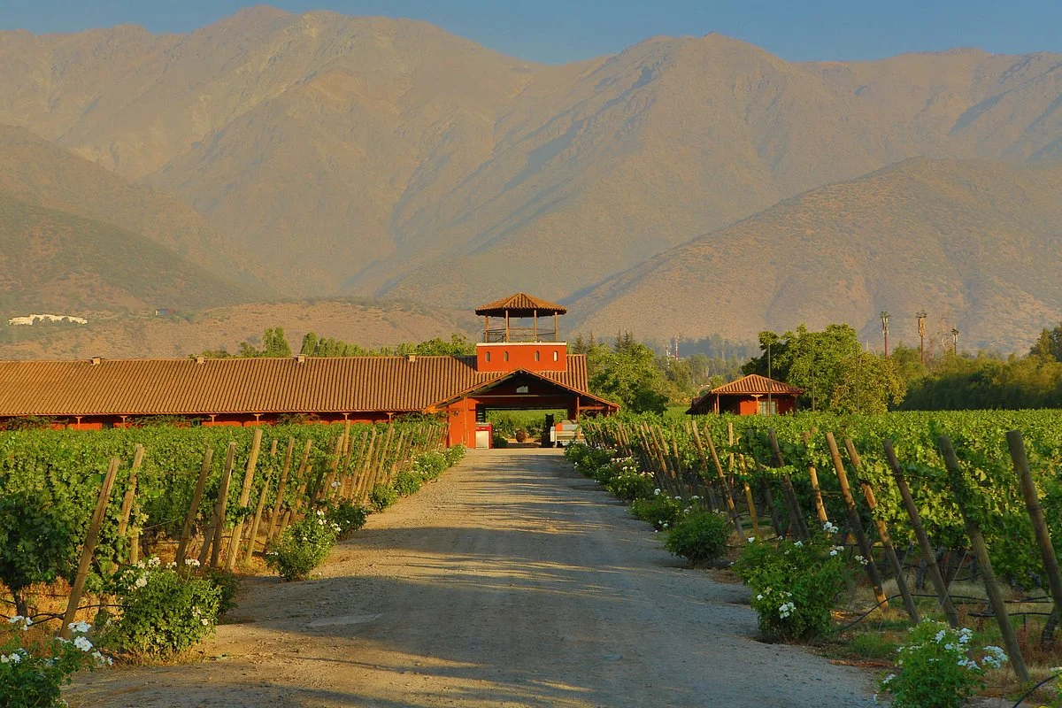 Vina Aquitania