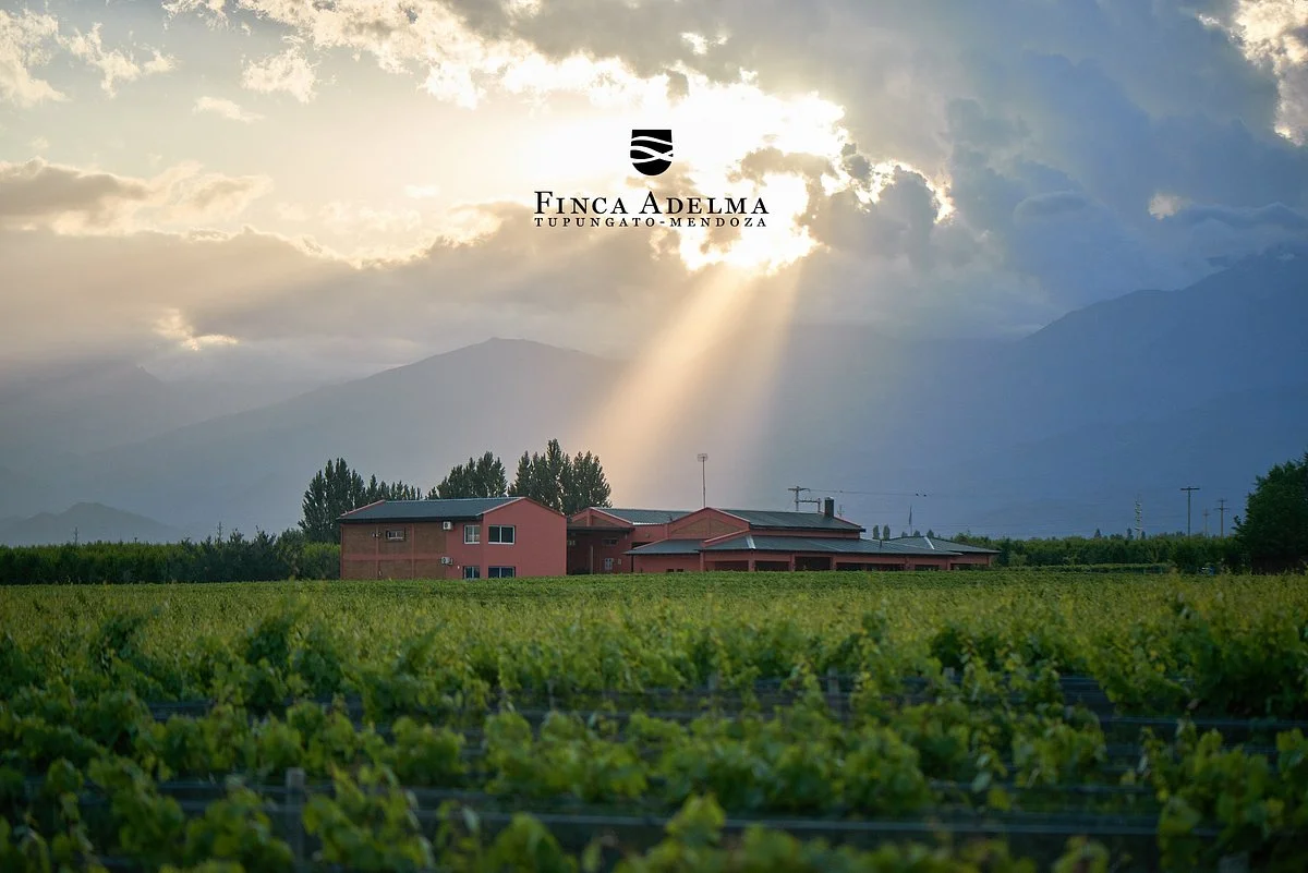 Finca Adelma