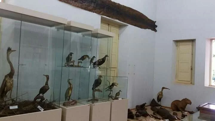 Sete Quedas Museum