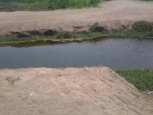 Wetlands of Ventanilla