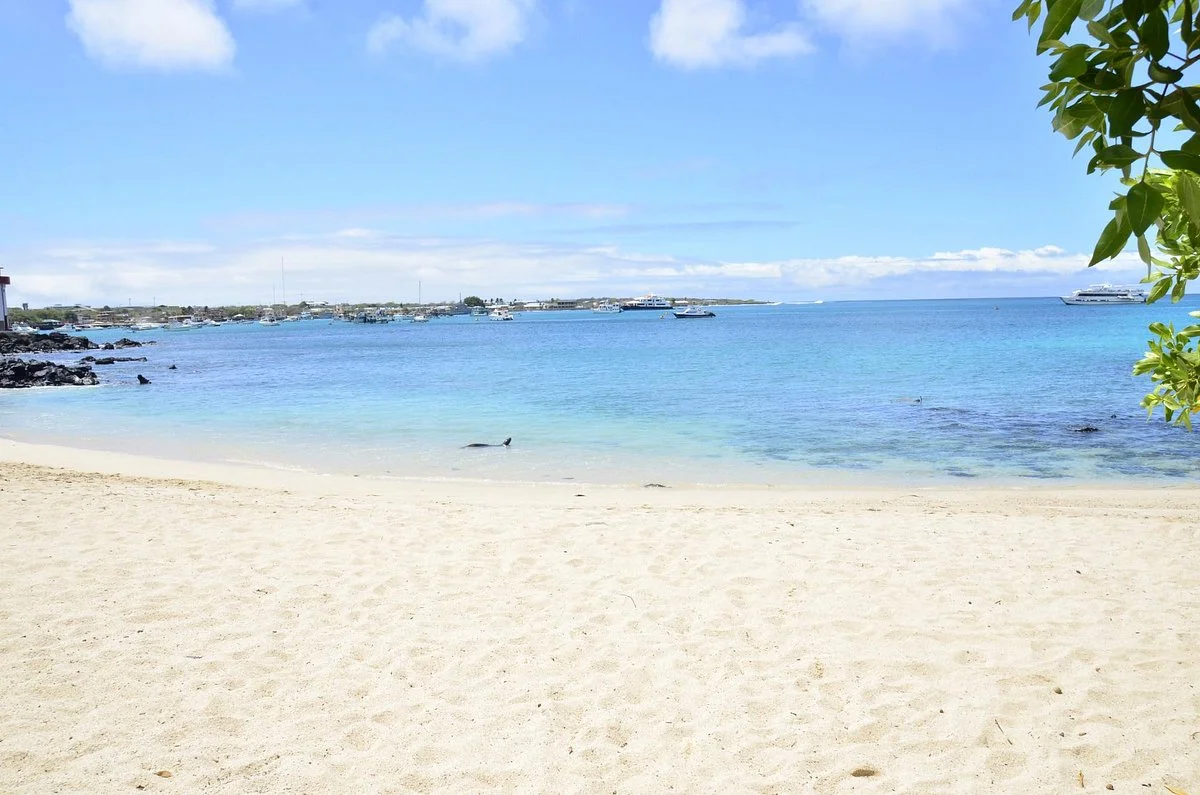 Playa Mann