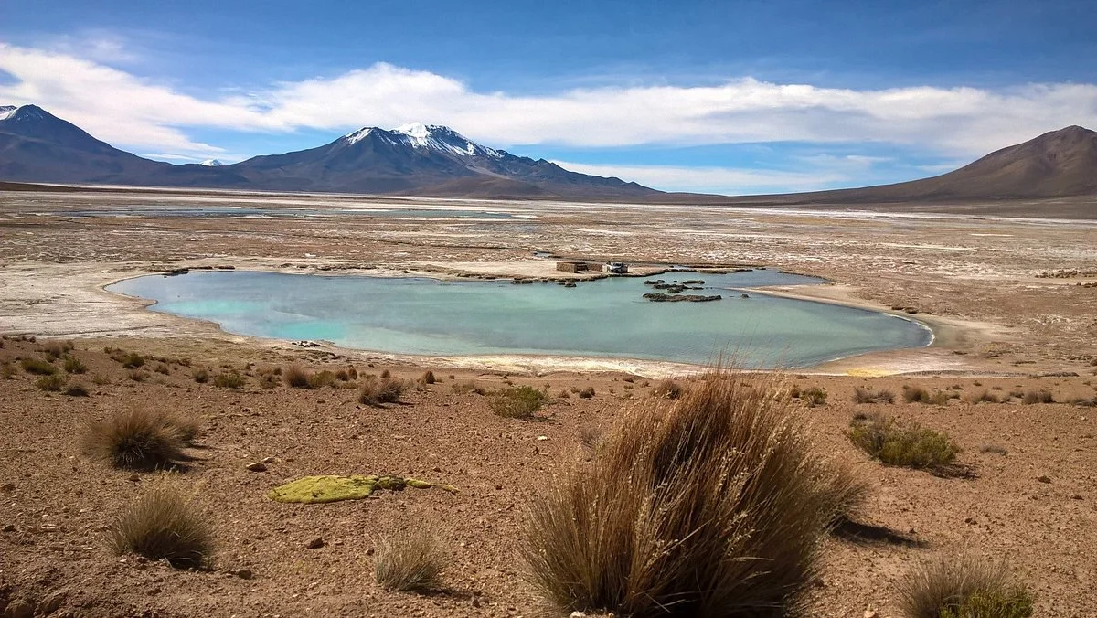 Salar de Surire
