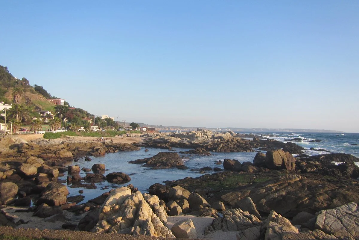 Playa El Chungungo