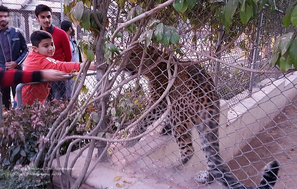 Bahria Enclave Zoo