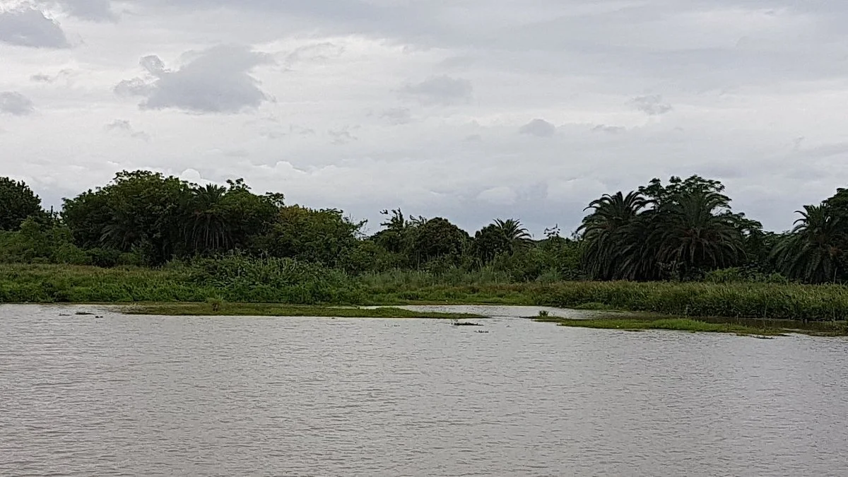 Reserva Natural Urbana