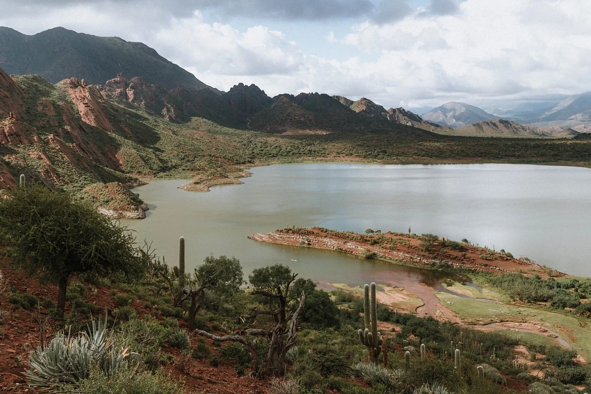 Laguna del Brealito