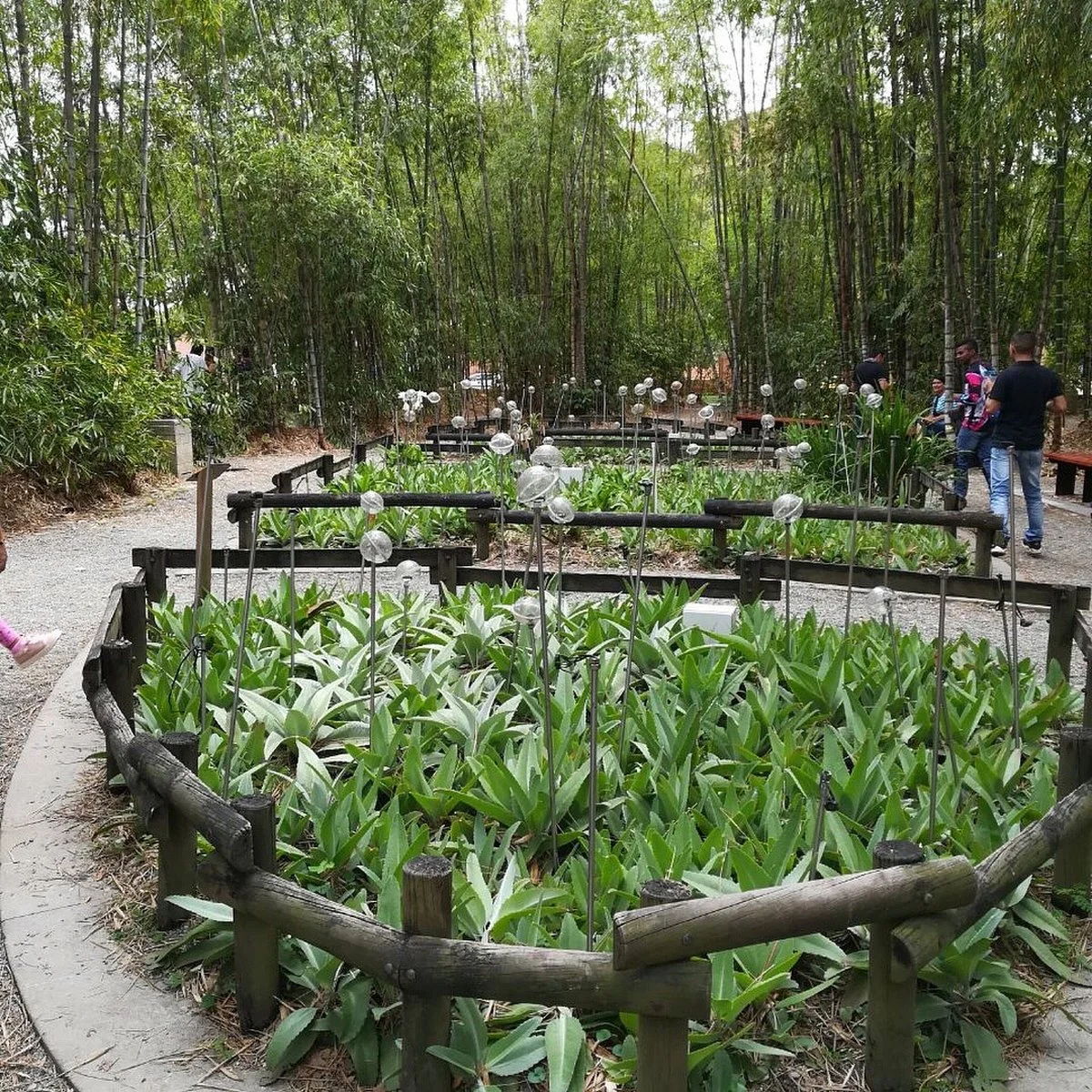 Parque de los Pies Descalzos